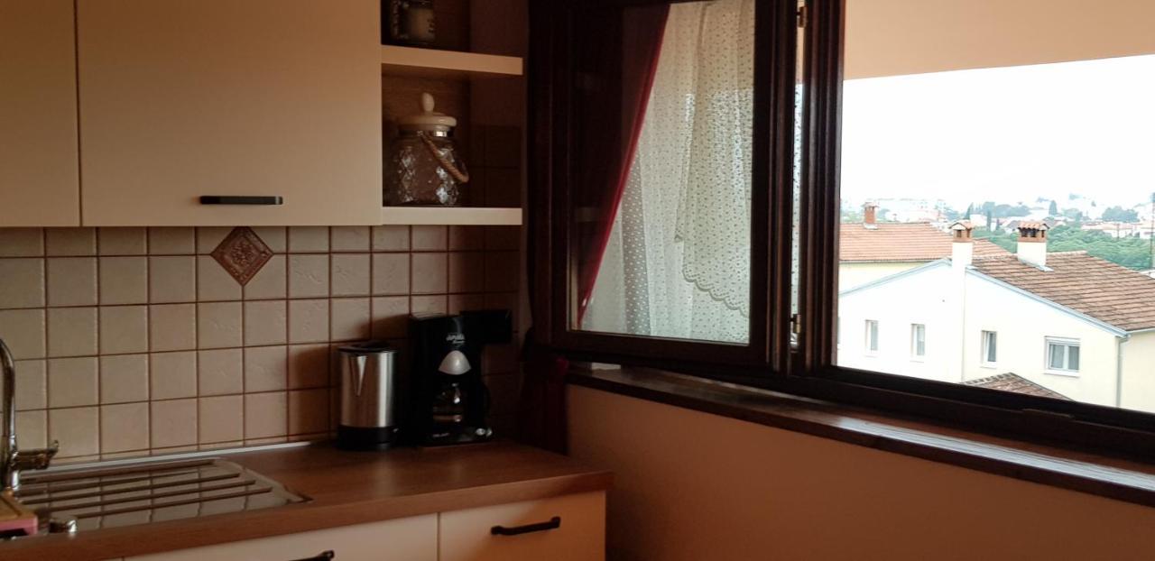 Apartmens Alenka 罗维尼 外观 照片