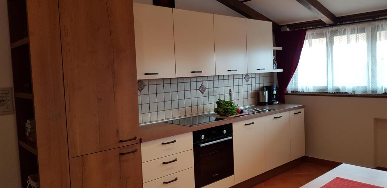 Apartmens Alenka 罗维尼 外观 照片