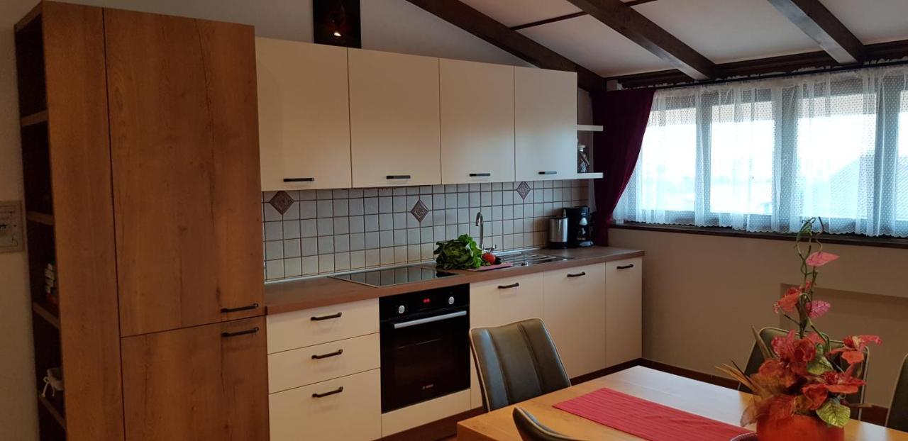 Apartmens Alenka 罗维尼 外观 照片